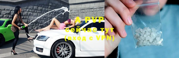дживик Беломорск