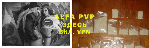 сатива Белоозёрский