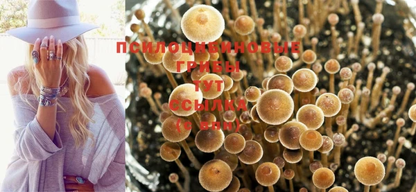 гидропоника Богданович
